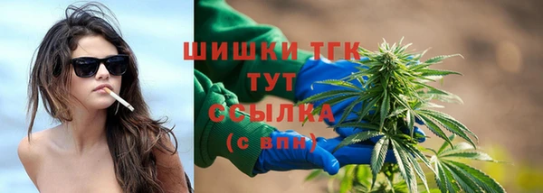 хмурый Елизово