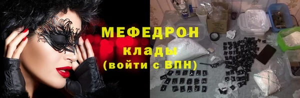 трава Ельня
