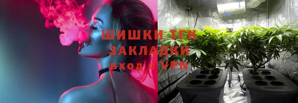 хмурый Елизово