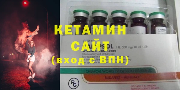 трава Ельня