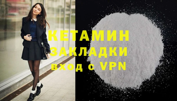 трава Ельня