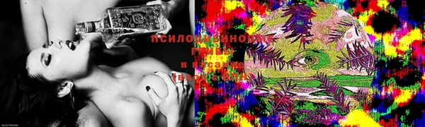 трава Ельня