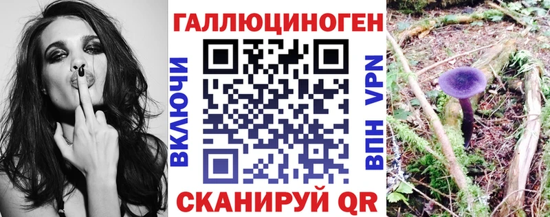 площадка Telegram Зима Псилоцибиновые грибы Magic Shrooms