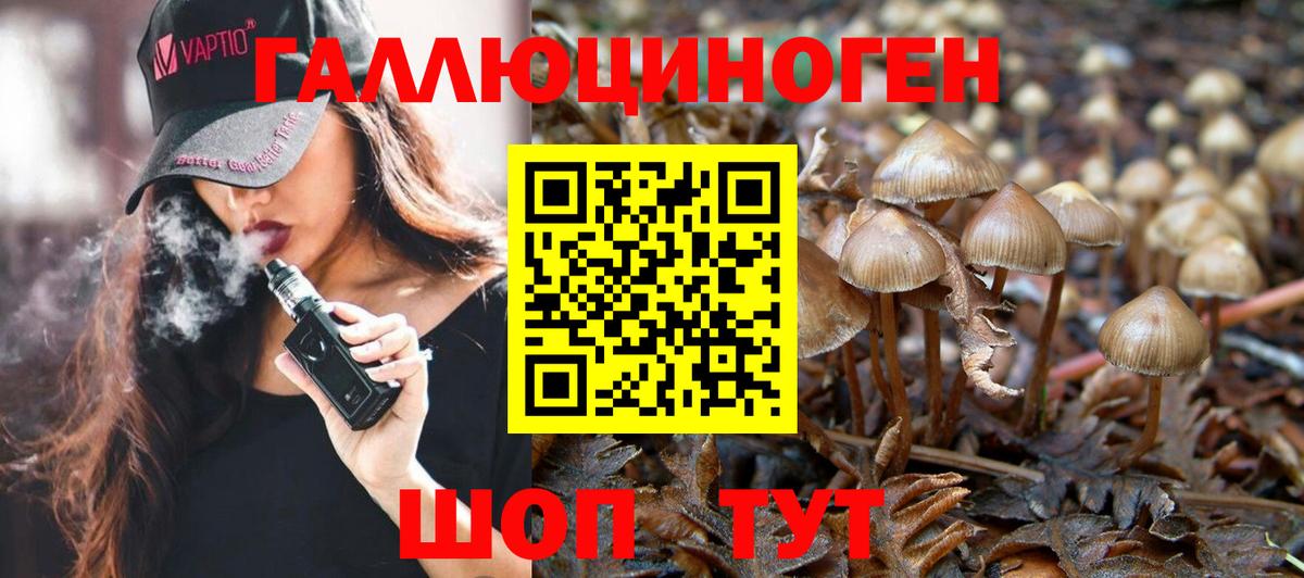 Псилоцибиновые грибы прущие грибы Зима