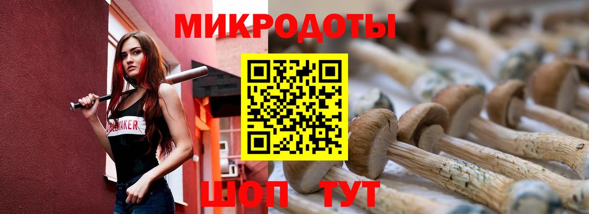 Зима  Галлюциногенные грибы GOLDEN TEACHER  что такое наркотик  Вход с VPN 