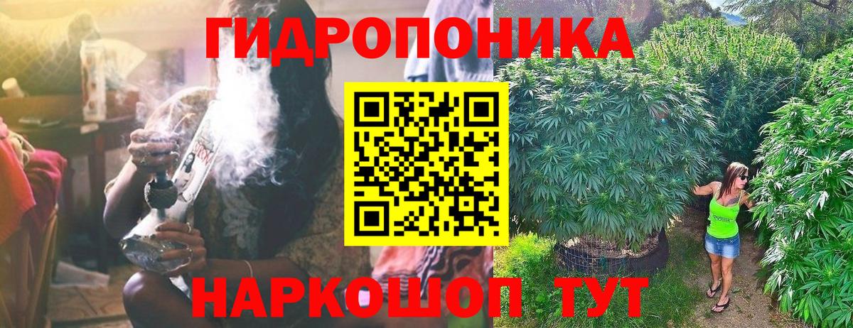 Бошки Шишки семена Зима